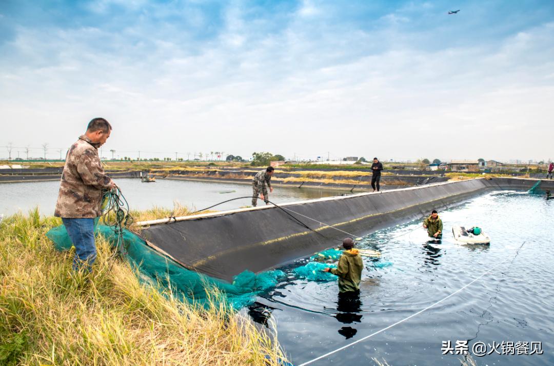 北海正宗海味鲜虾虾滑,广西北海新鲜虾滑