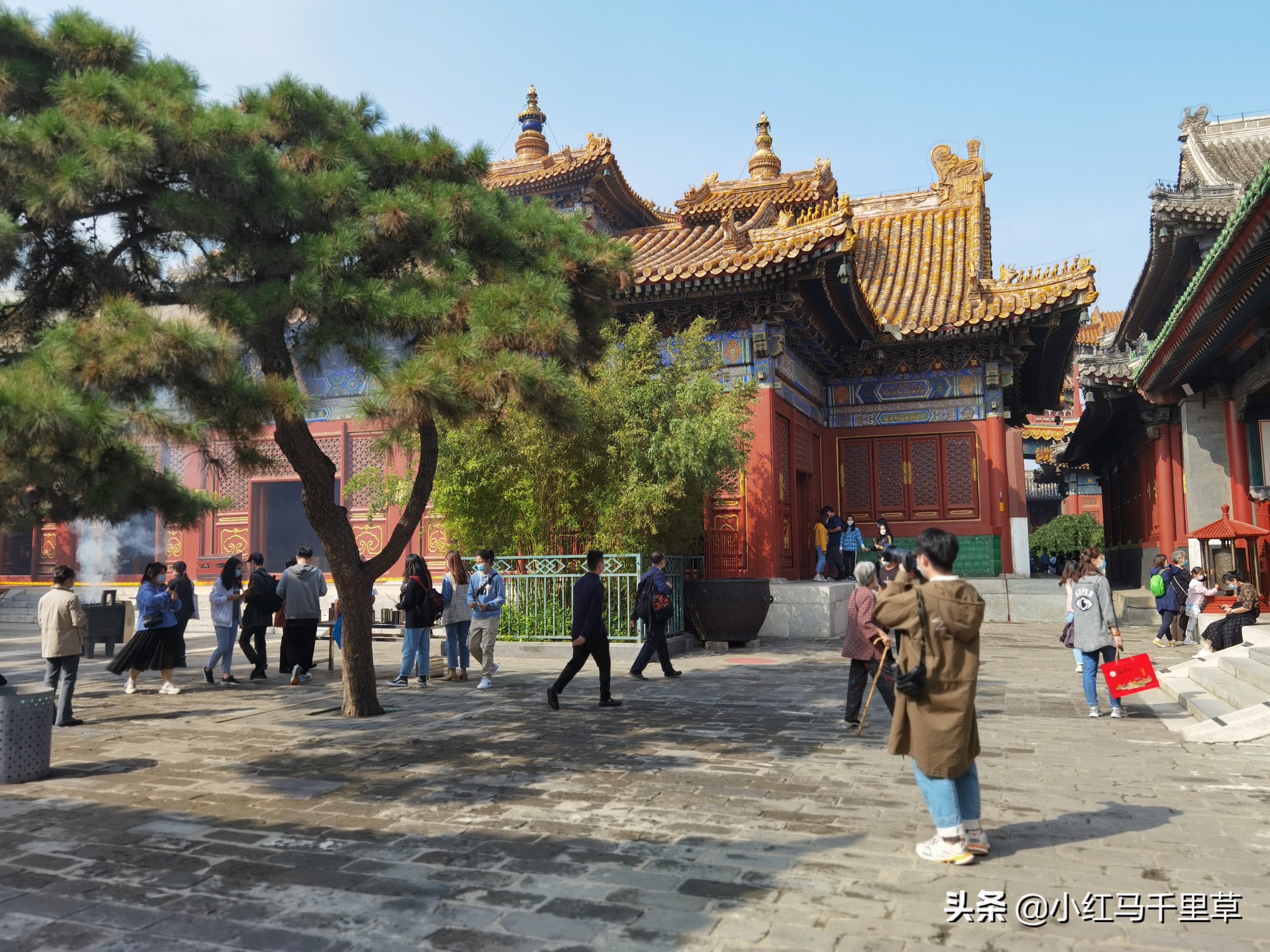 雍和宫游览记,北京行记