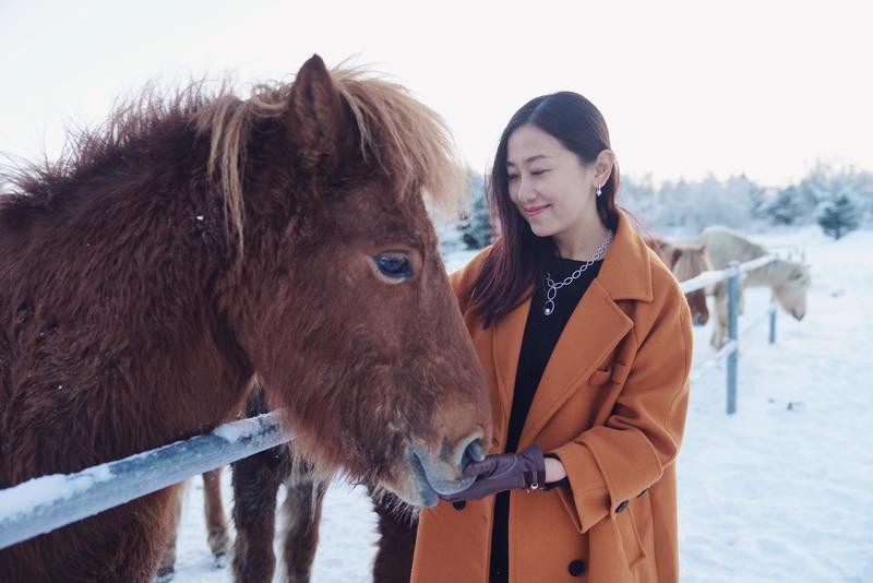 飘雪的季节,你要来一次冰岛(附冬季环游攻略)