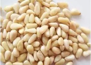 秋季约上三五好友一起去露营烧烤,来延边开始秋天的旅行