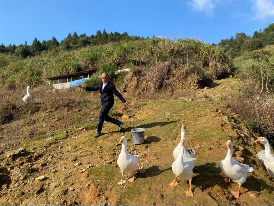 认养农业助力乡村振兴,认种认养助力乡村振兴