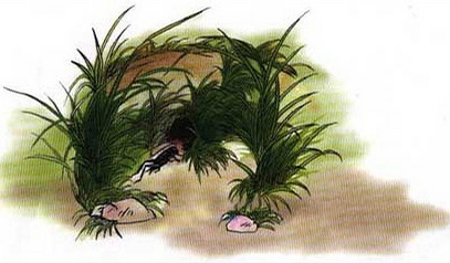 不同年代的小学课文插图,小学课文插图还记得多少