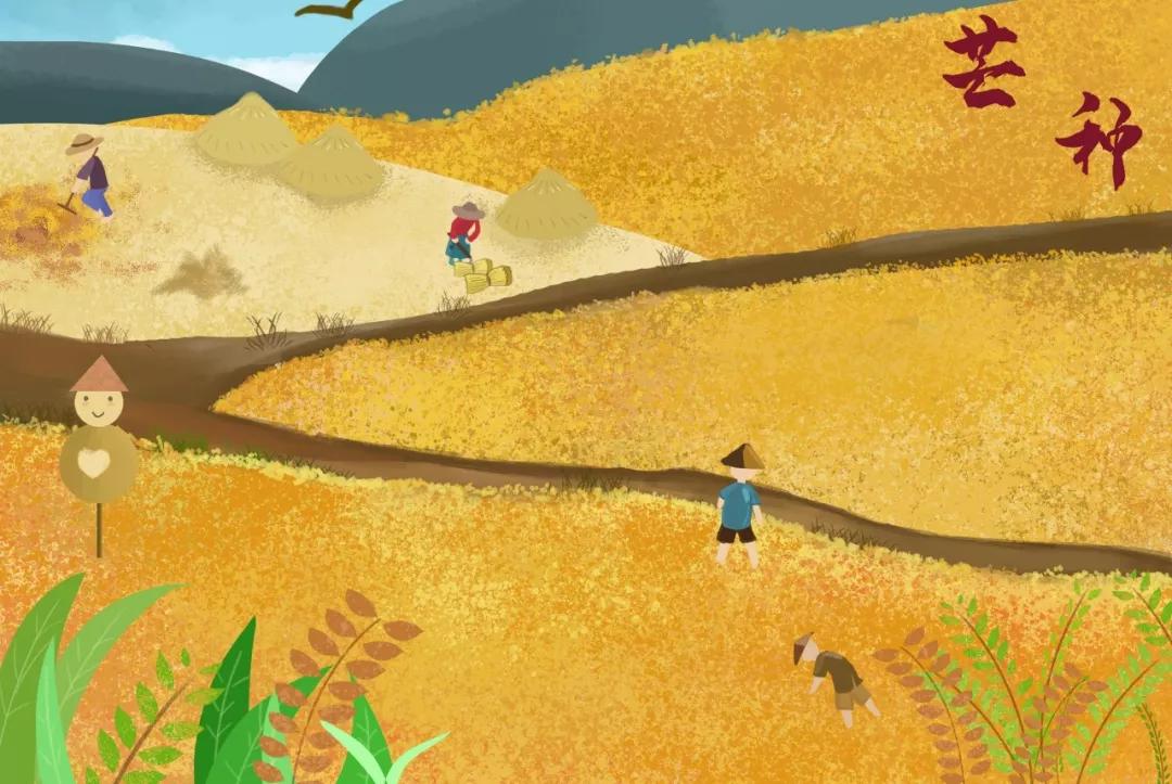 30首芒种诗词读起来真美,今日芒种十首最美芒种诗词