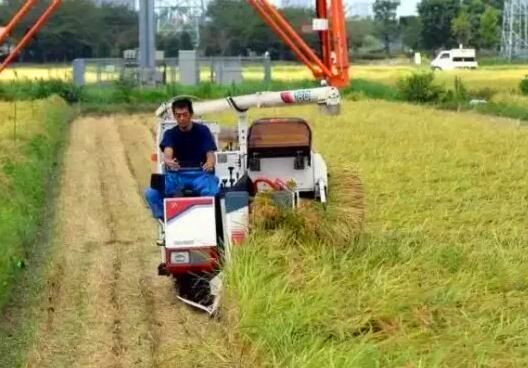 日本真实的街道,日本真的满街都没有垃圾吗