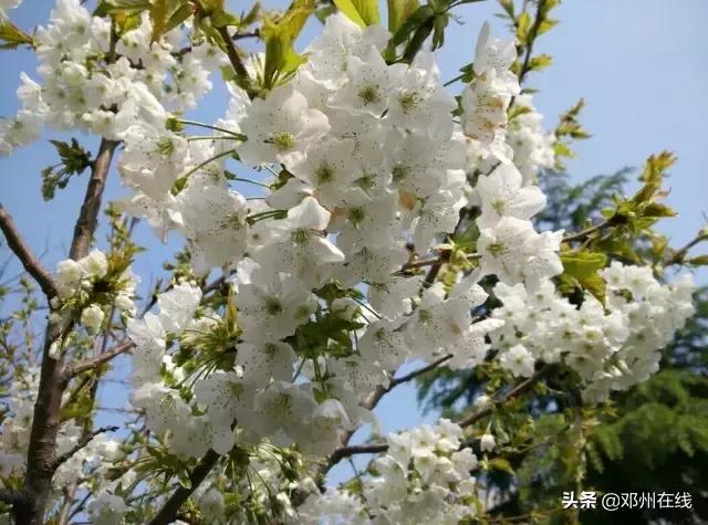 南阳最新重要新闻,河南南阳有什么大事