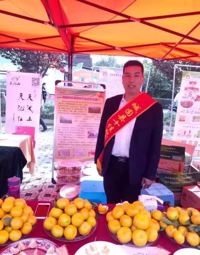 正宗红美人种植基地,中国柑橘研究所红美人