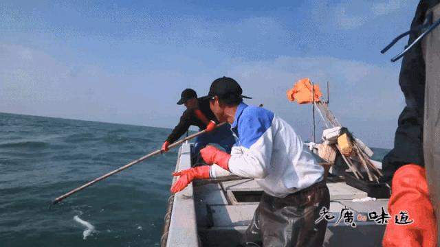 2月份广东适合吃啥海鲜,如何不出地铁站吃到美食