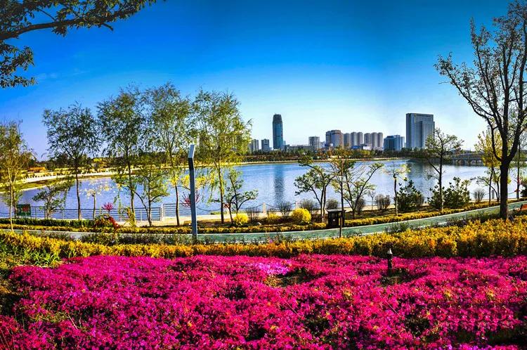 赞美庆阳的美景,庆阳的美