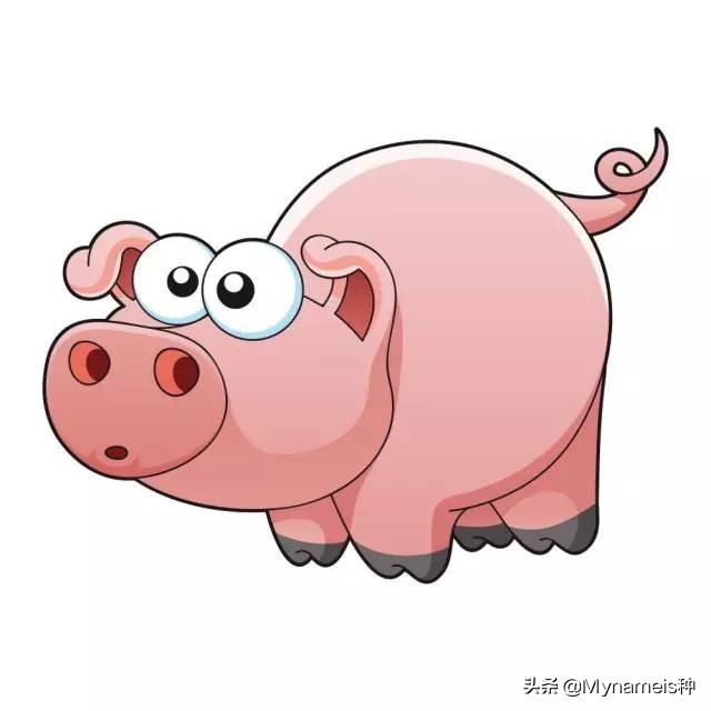 十二属相在今年每月的吉凶,十二属相各自都有什么缺人点