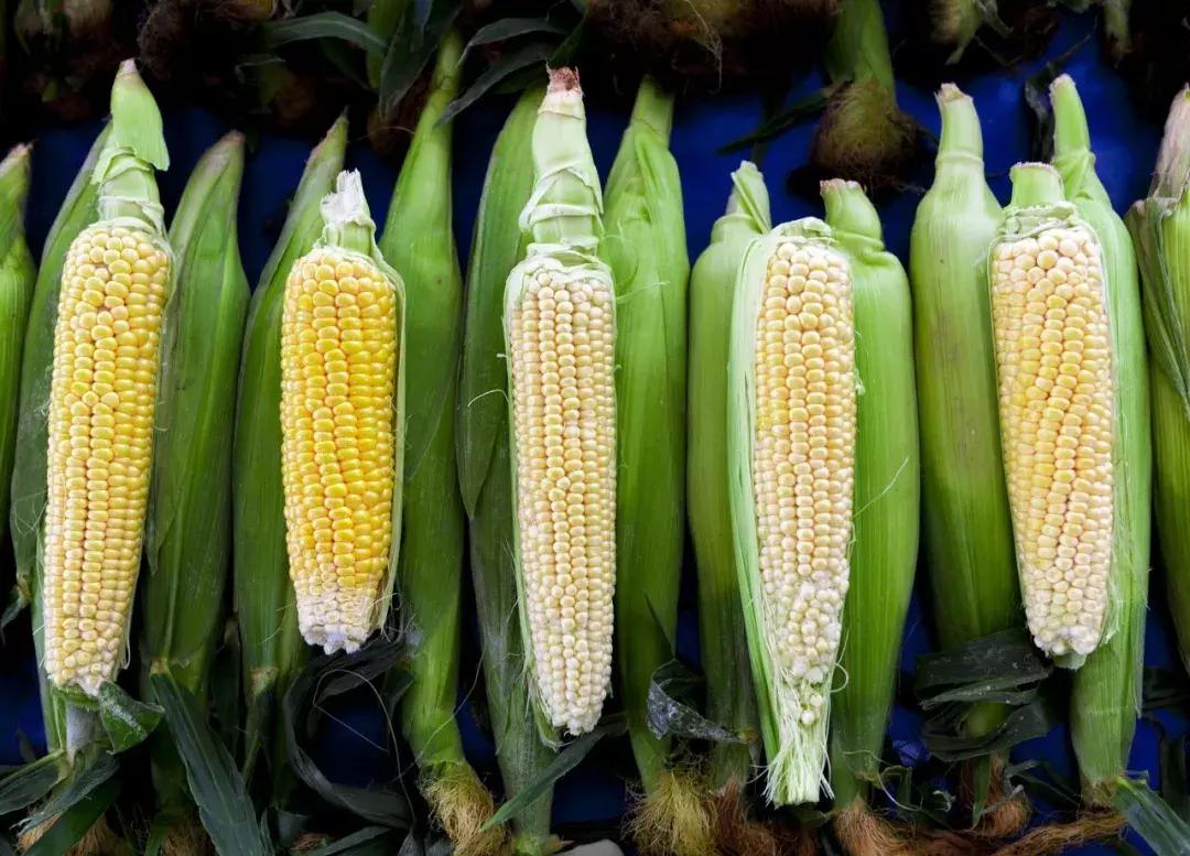 这个男人的胴体刷爆了你的朋友圈