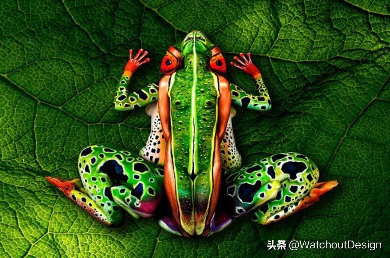 iphonexsmax怎么调屏幕色彩,iphonexsmax色彩怎么调