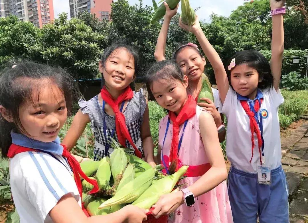 凤凰学校招生简章,凤凰学校招生公告