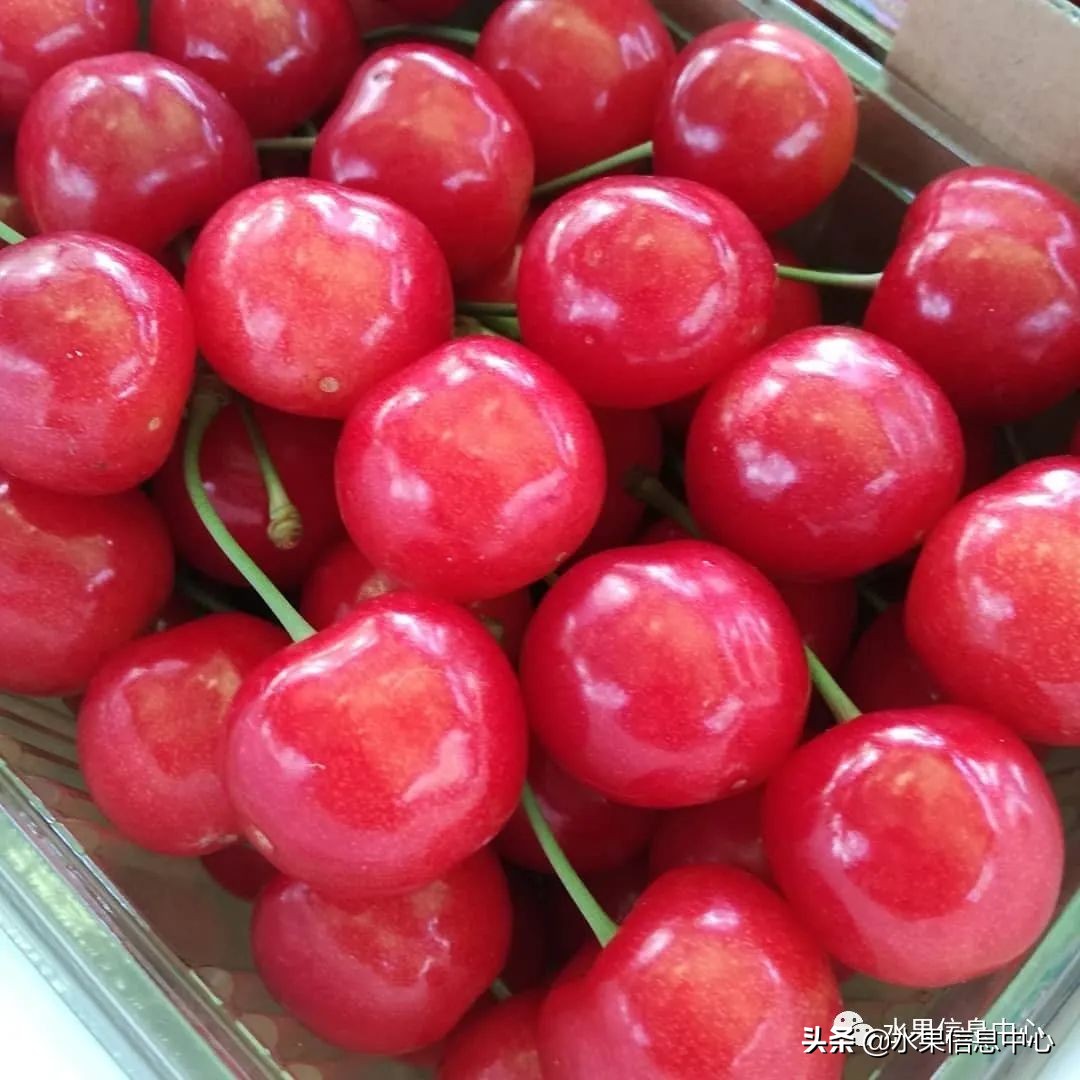 卖樱桃8块一斤十五块两斤的视频,一斤樱桃多少钱