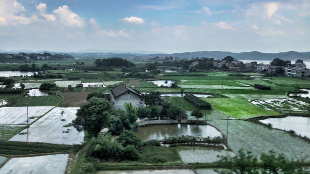 谈谈中国人当前的心理问题,谈谈中国人口红利与人才红利关联