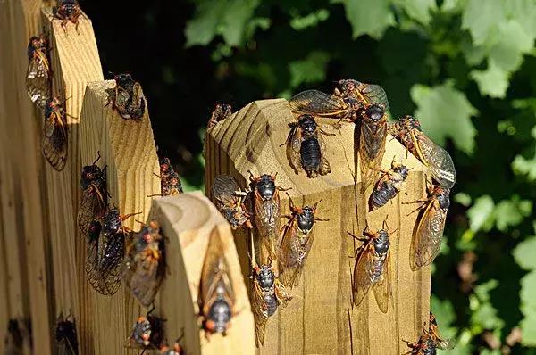 一名程序员意外地发现迄今最大素数，长约25000000位！