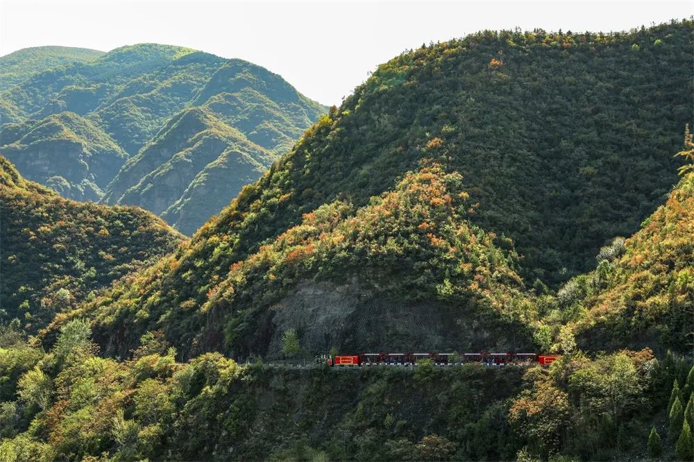 灏忎節瀵ㄥ弻榫欏场,浜タ灏忎節瀵ㄥ弻榫欏场