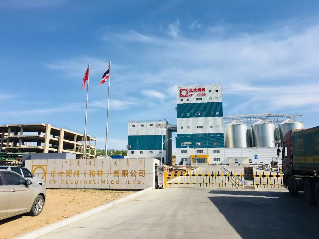 90后千亿女富豪,最年轻90后女首富