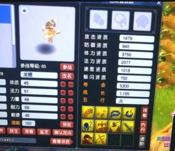 梦幻西游跑环指定变异宝宝有哪些,梦幻西游175跑宠不交变异给几分