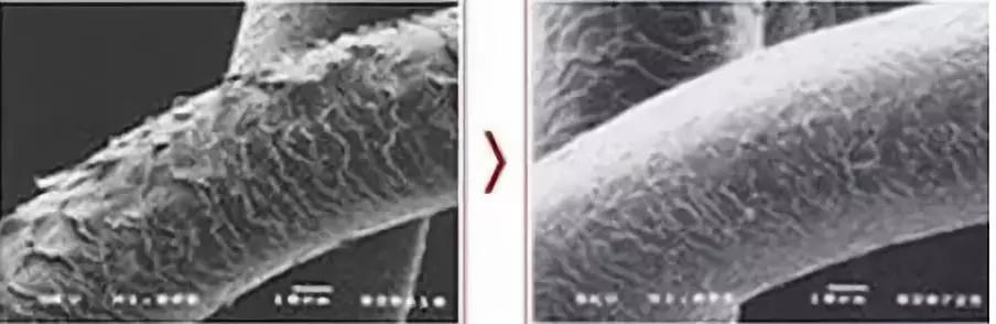 蒙古洗发水,日本洗发水蒙琉怎么样