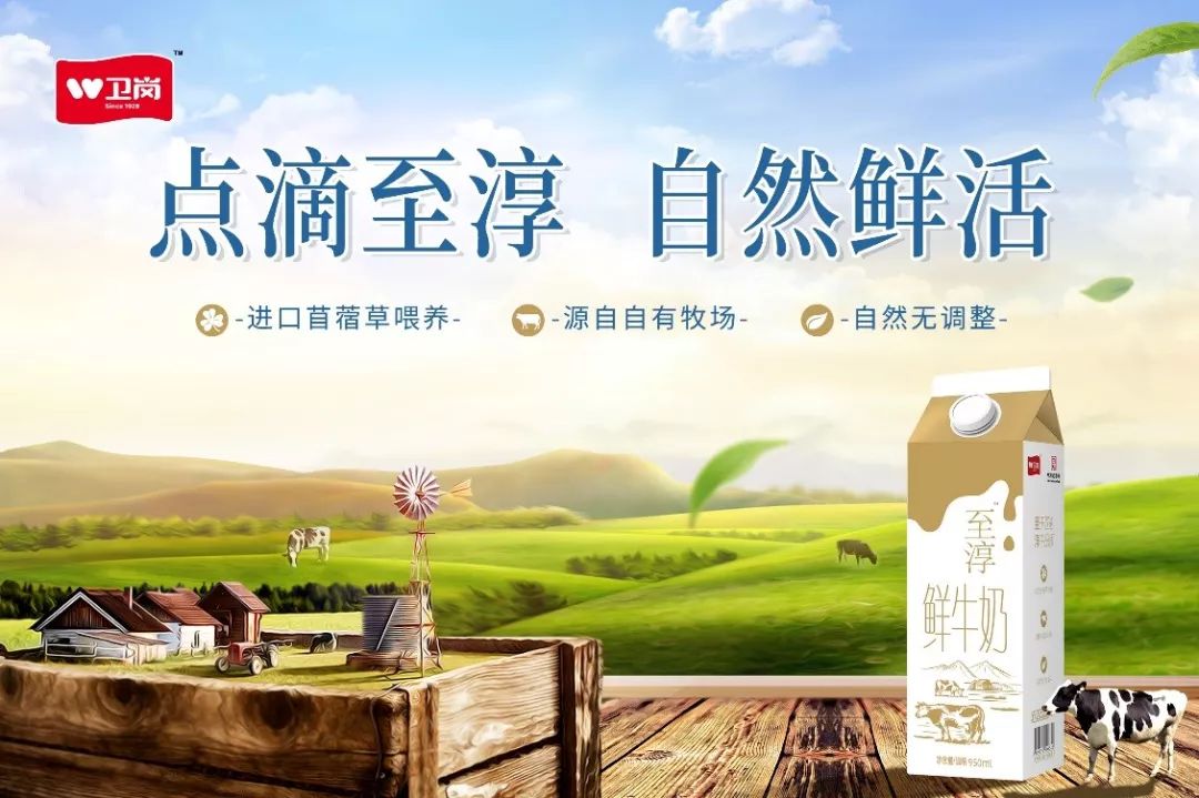 卫岗至淳有机生牛乳,卫岗牛奶新品种