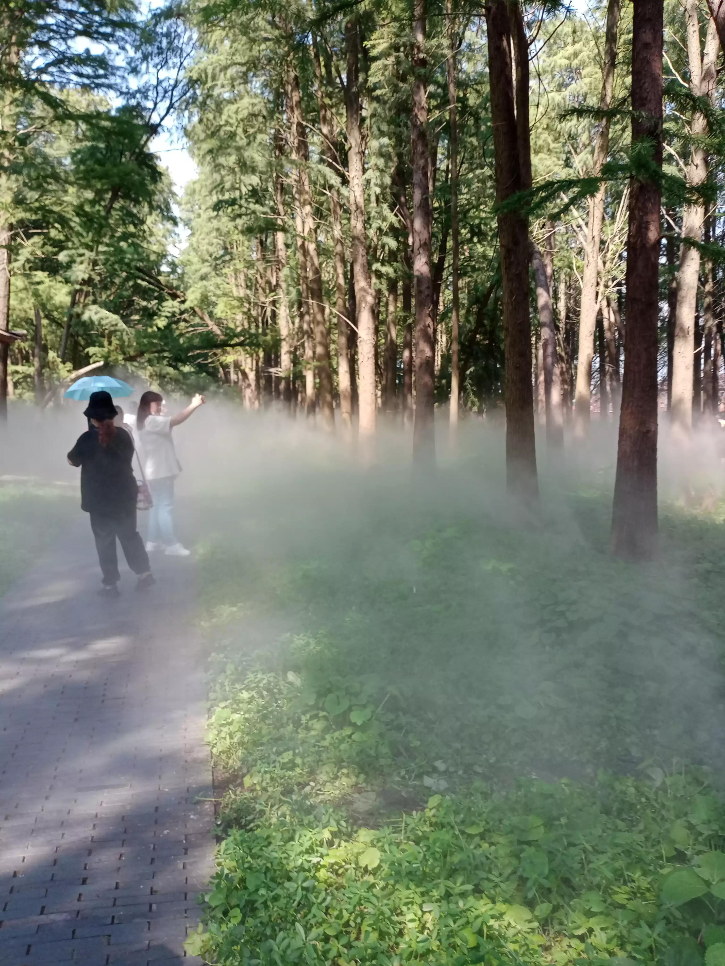 购物团合法吗,购物团不消费会怎么样