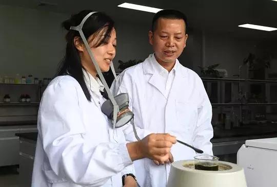 重庆市高层次人才创新创业,高层次创新人才