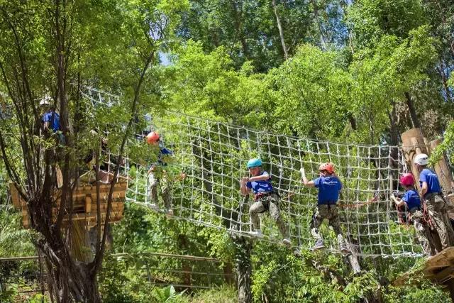 可拉熊团购,深圳可拉熊丛林探险营地团购门票