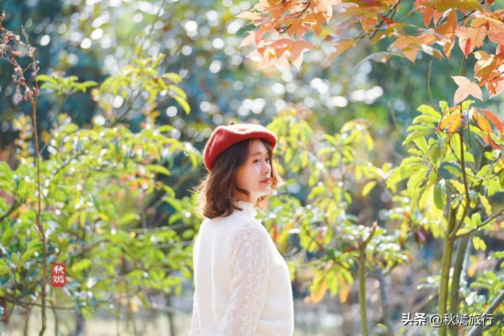 常熟网红枫林秋意盎然，游客络绎不绝，百年老店五道菜肴165元