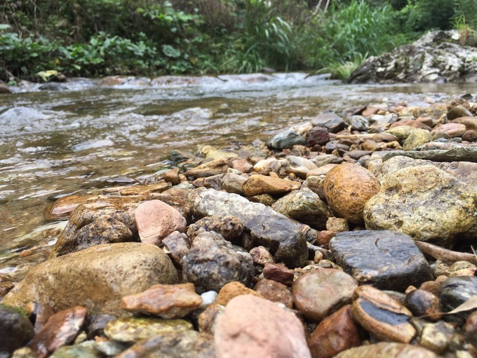 广州从化溪头村一日游出游攻略,从化溪头村自驾游攻略视频