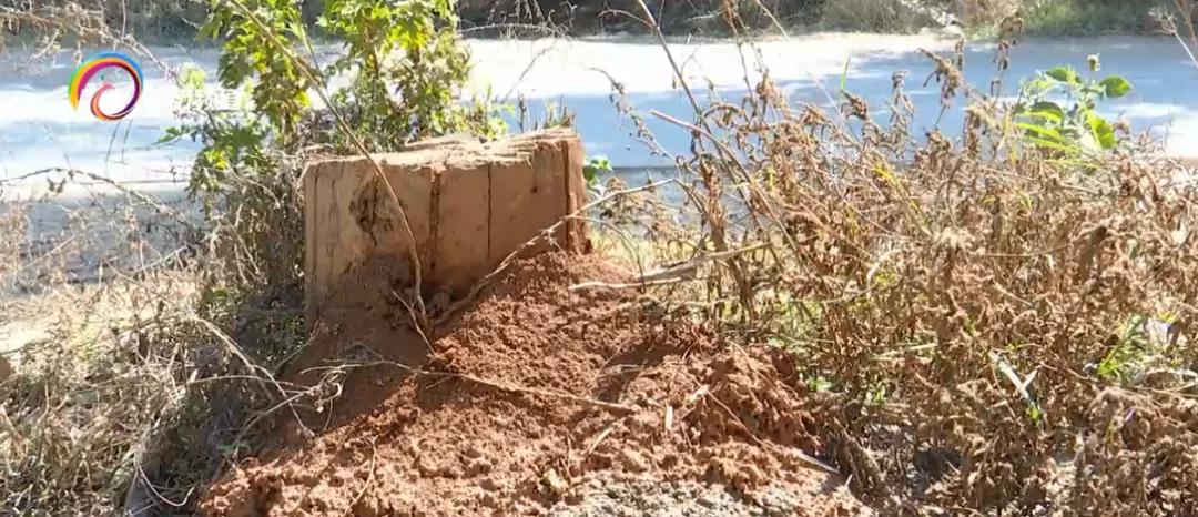 被广东的红火蚁咬了用什么药,多名村民被红火蚁咬伤