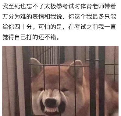 当代大学生学太极拳现状,大学生学太极拳太难了