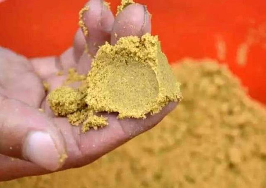 “小黄面”为什么风靡黑坑?它是一种怎样的钓饵,从四个方面探究