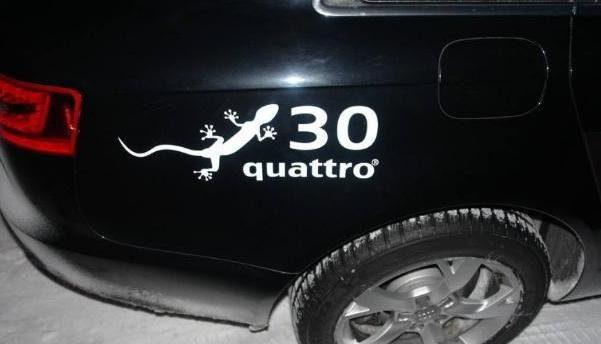 车尾的壁虎可以粘多少年,车后粘壁虎有什么说法