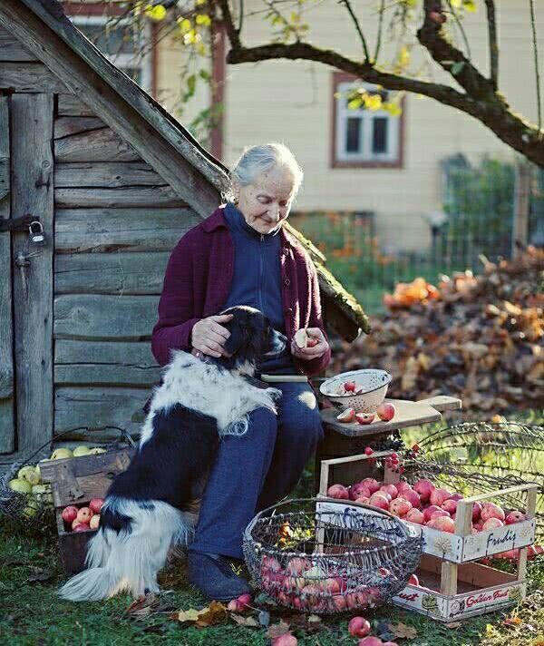 狗狗特别挑食不吃饭怎么办,狗狗挑食不听话怎么办
