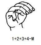 自然手语句子教学视频,自然手语教程