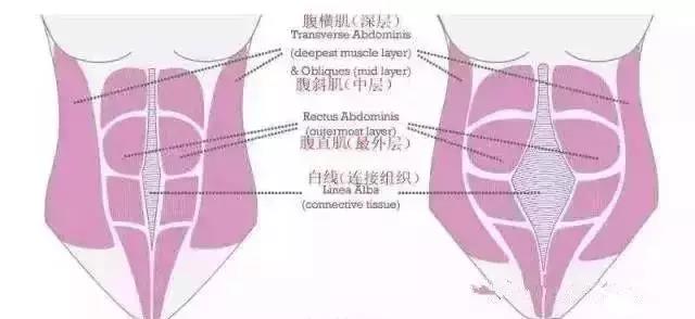 十月怀胎，我变成“小腹婆！”