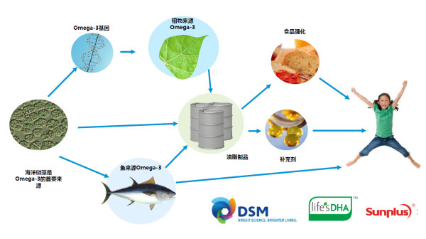 婴幼儿dha如何选择,怎么选择婴幼儿dha