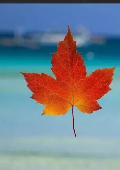 ps人物打散效果制作,ps打散效果视频