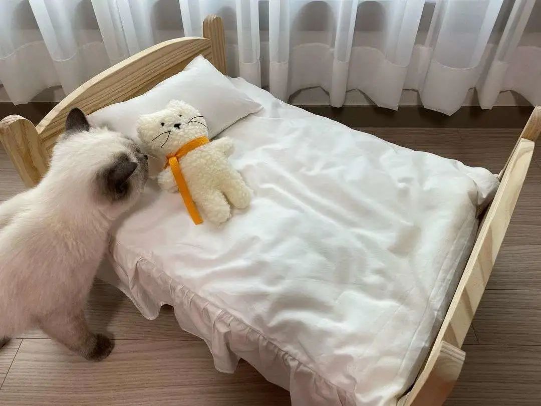 煤老板爆红完整版,煤老板ins