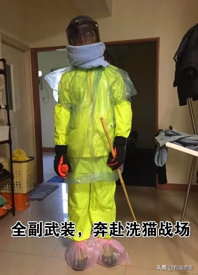 我给猫花的冤枉钱，能在广州买一套房