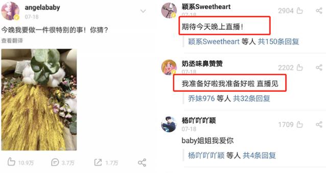 品牌直播运营策划流程,直播如何做策划