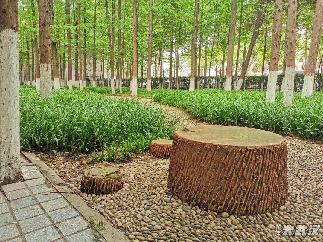 武汉科技大学的机械学院,武汉科技大学医学院和临床学院