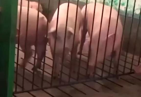 200亿！达摩院全球总部开建，要撑起102年的阿里巴巴