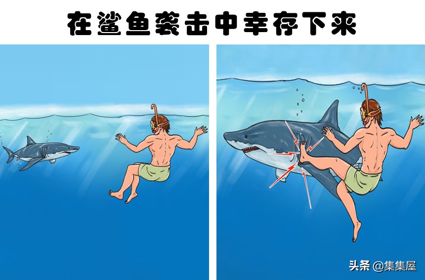 被困车中如何从后备箱逃出,被关车后备箱如何自救