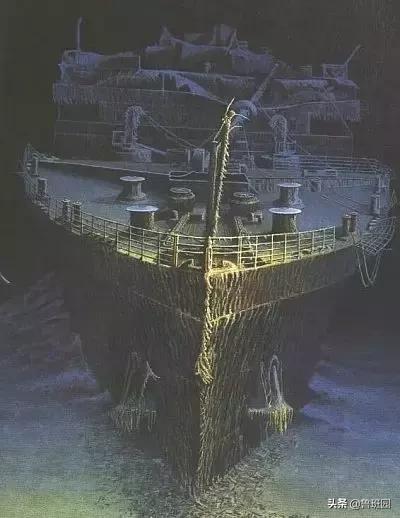 橡木种类大全及图片,史上最专业橡木介绍快来收藏吧