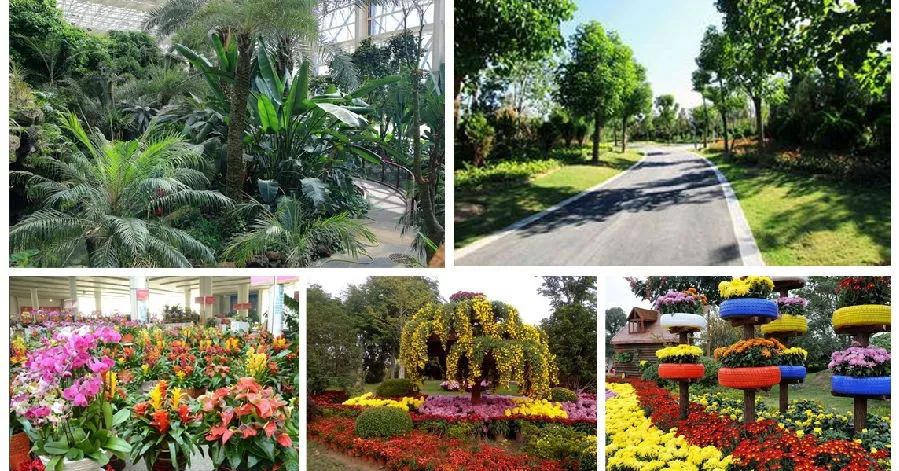 徐州三个必去的景点,徐州三堡旅游景点大全