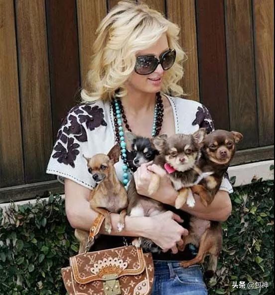 包神日记2018,包神日记2019