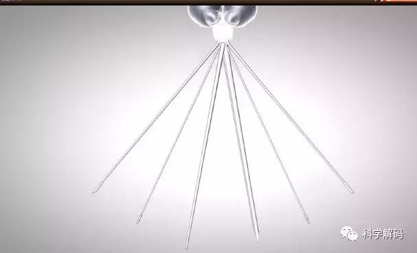 蚊子怎么咬人科普,蚊子解剖示意图