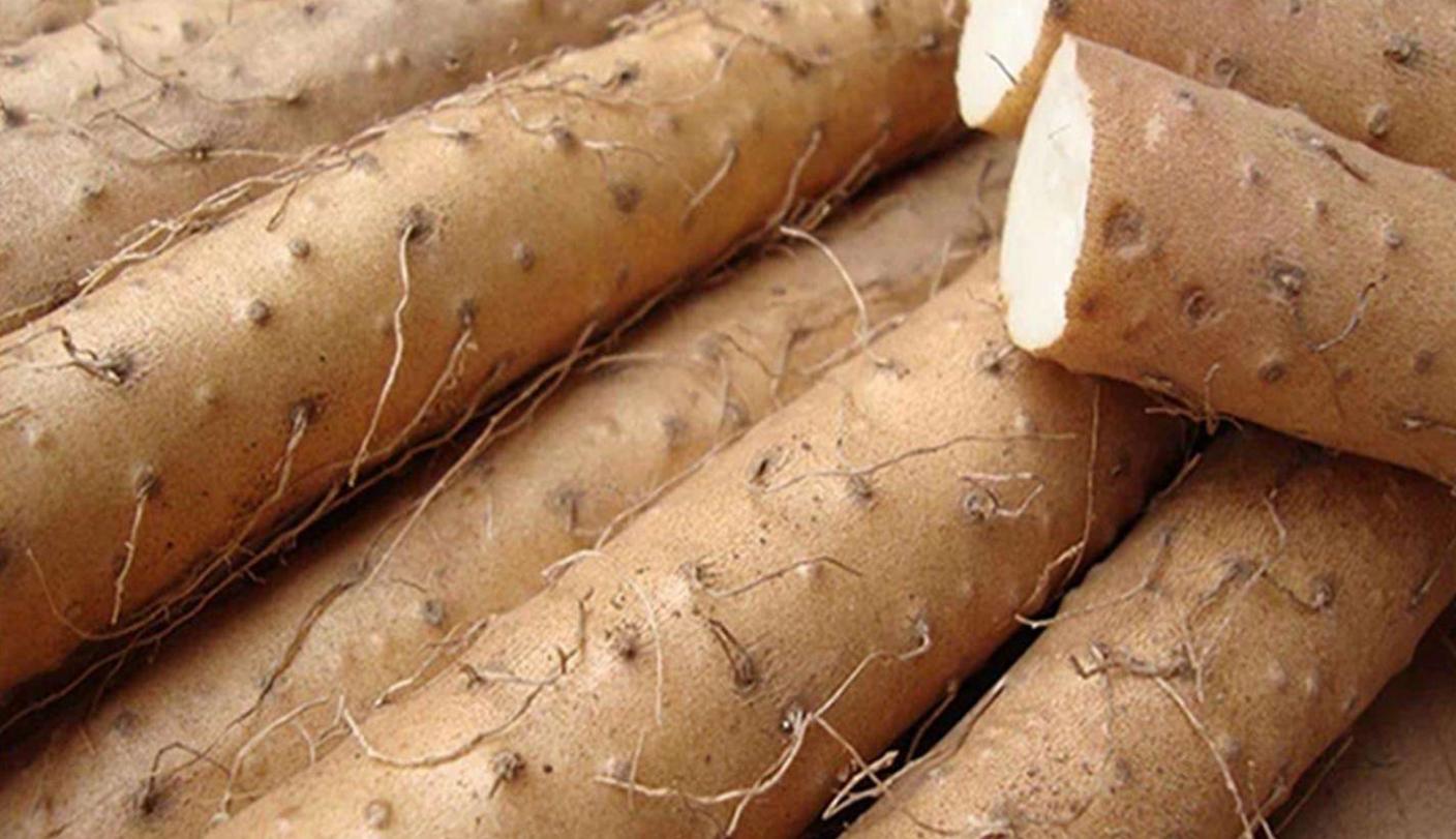 铁棍山药怎么做好吃简单做法,铁棍山药的10种家常吃法图片