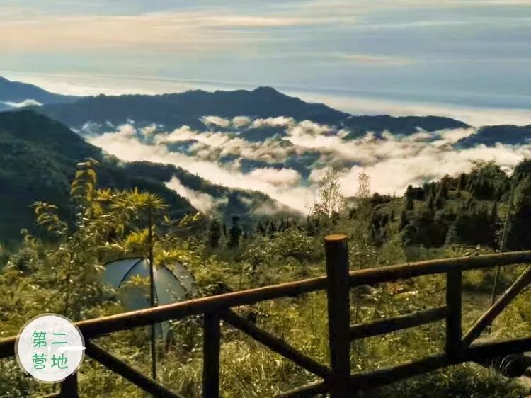 1h飚拢！千年银杏、云海星空、木屋烧烤……这条路线9……